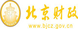 性爱。抽插。视频北京市财政局