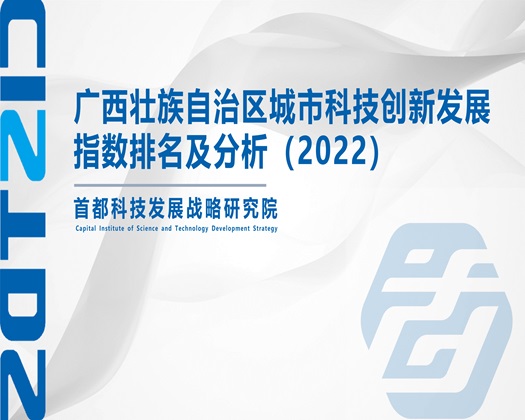 干逼小穴视频【成果发布】广西壮族自治区城市科技创新发展指数排名及分析（2022）